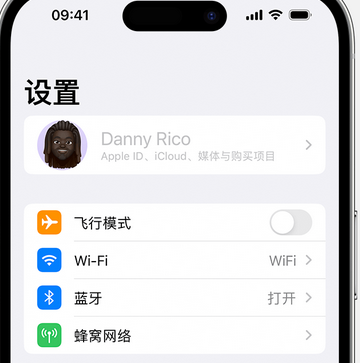 聊城appleID维修服务iPhone设置中Apple ID显示为灰色无法使用 