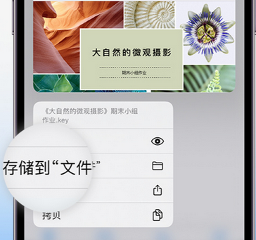 聊城apple维修中心分享iPhone文件应用中存储和找到下载文件