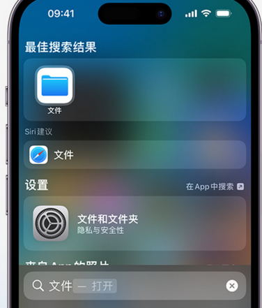 聊城apple维修中心分享iPhone文件应用中存储和找到下载文件 