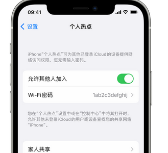 聊城apple服务站点分享iPhone上个人热点丢失了怎么办 