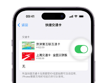 聊城apple维修点分享iPhone上更换Apple Pay快捷交通卡手绘卡面 