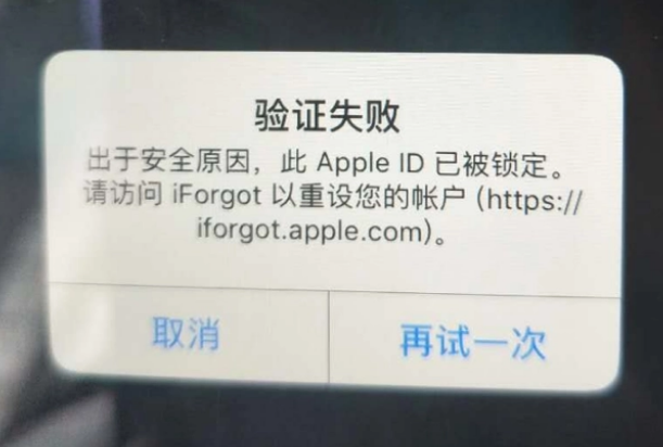 聊城iPhone维修分享iPhone上正常登录或使用AppleID怎么办 