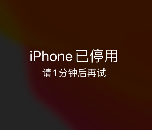 聊城苹果手机维修分享:iPhone 显示“不可用”或“已停用”怎么办？还能保留数据吗？ 