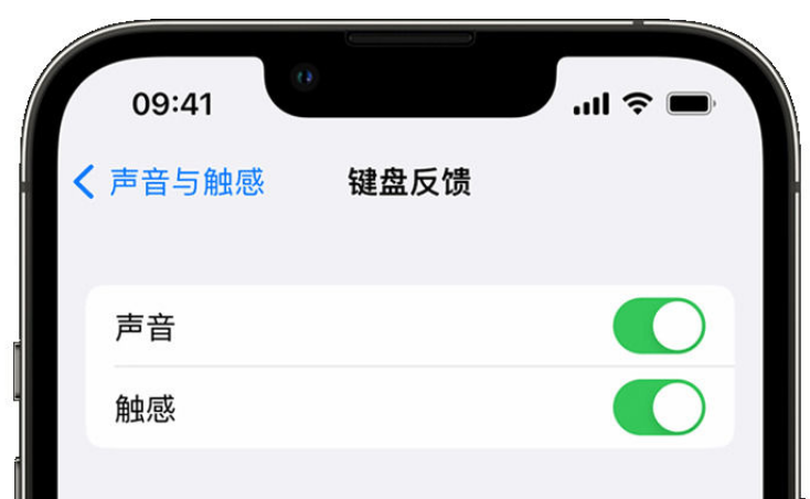 聊城苹果手机维修分享iPhone 14触感键盘使用方法 