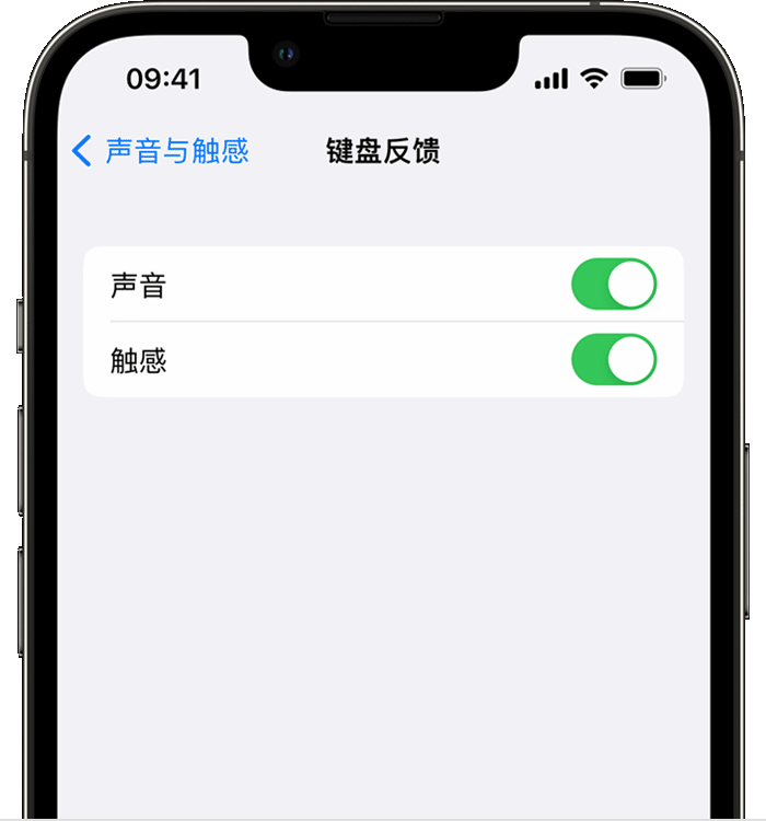 聊城苹果14维修店分享如何在 iPhone 14 机型中使用触感键盘 