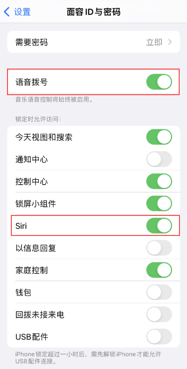 聊城苹果维修网点分享不解锁 iPhone 的情况下通过 Siri 拨打电话的方法 