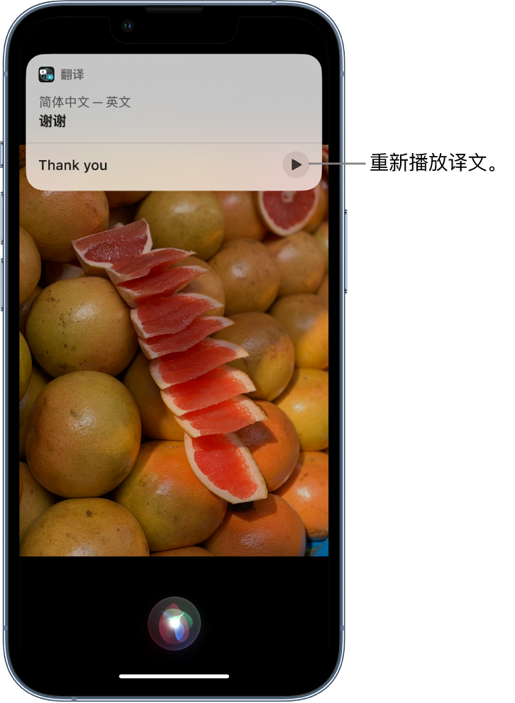 聊城苹果14维修分享 iPhone 14 机型中使用 Siri：了解 Siri 能帮你做什么 