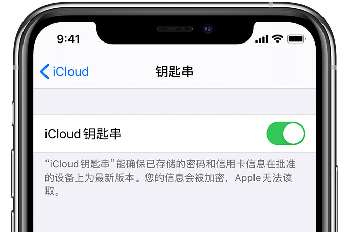 聊城苹果手机维修分享在 iPhone 上开启 iCloud 钥匙串之后会储存哪些信息 