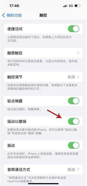 聊城苹果手机维修分享iPhone手机如何设置摇一摇删除文字 