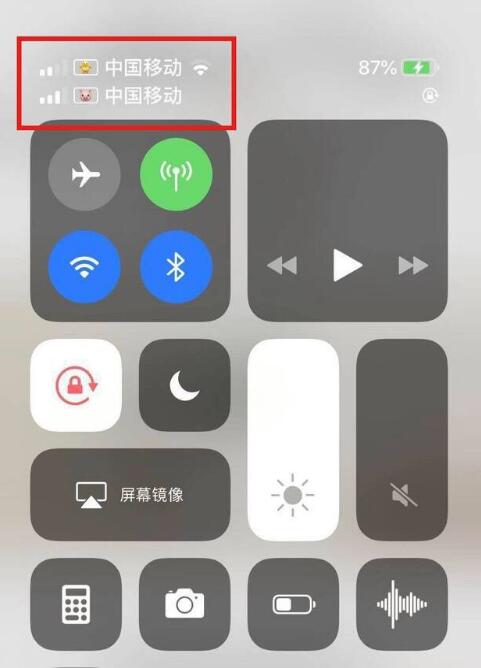 聊城苹果手机维修分享为 iPhone 12 双卡设置标签 