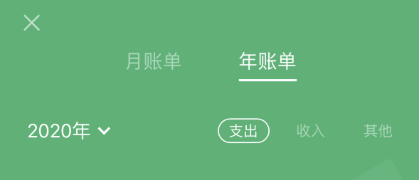 聊城苹果手机维修分享如何在 iPhone 上查看支付宝和微信年支出账单 